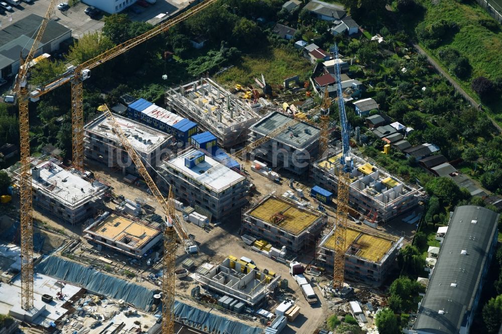 Berlin aus der Vogelperspektive: Baustelle Wohngebiet der Mehrfamilienhaussiedlung Das Lichtenhain der BUWOG Group im Ortsteil Lichtenberg in Berlin, Deutschland