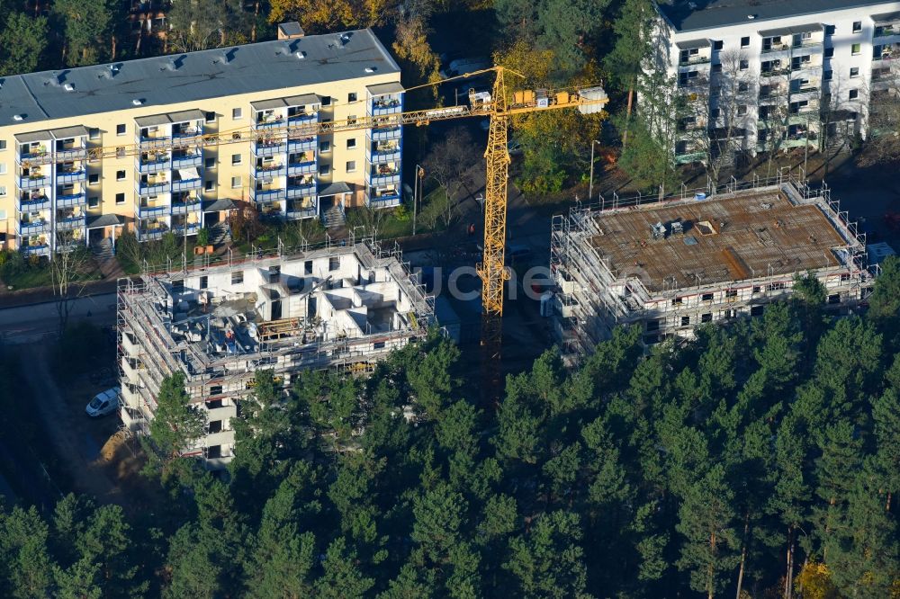 Potsdam von oben - Baustelle Wohngebiet einer Mehrfamilienhaussiedlung Am Moosfenn im Ortsteil Waldstadt in Potsdam im Bundesland Brandenburg, Deutschland