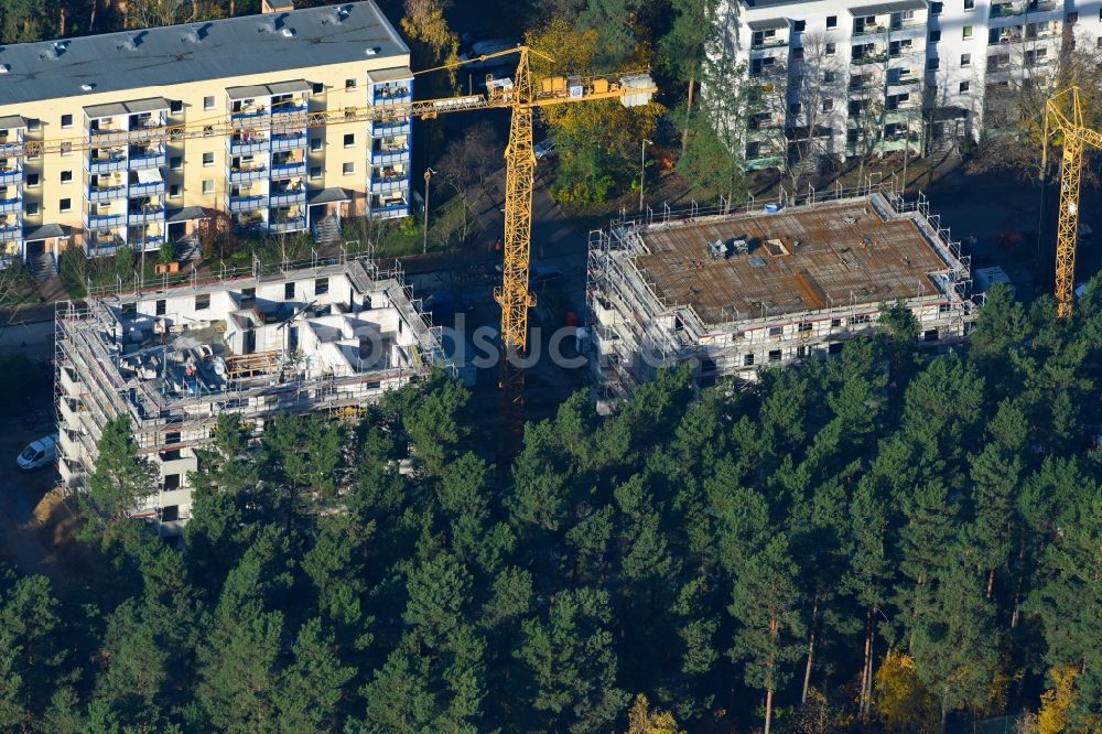 Potsdam aus der Vogelperspektive: Baustelle Wohngebiet einer Mehrfamilienhaussiedlung Am Moosfenn im Ortsteil Waldstadt in Potsdam im Bundesland Brandenburg, Deutschland