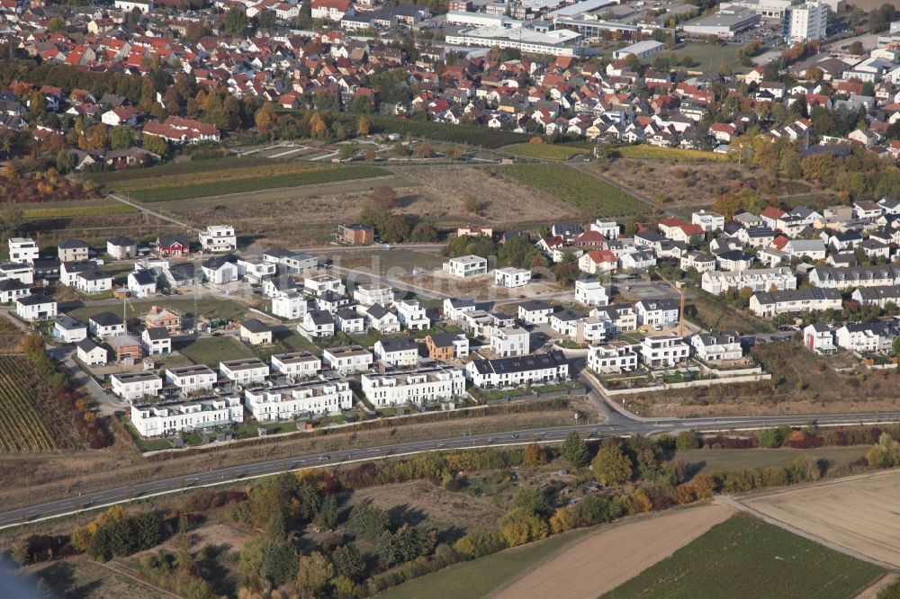 Bodenheim von oben - Baustelle Wohngebiet einer Mehrfamilienhaussiedlung nördlich der Rosetta Vogt Straße in Bodenheim im Bundesland Rheinland-Pfalz, Deutschland