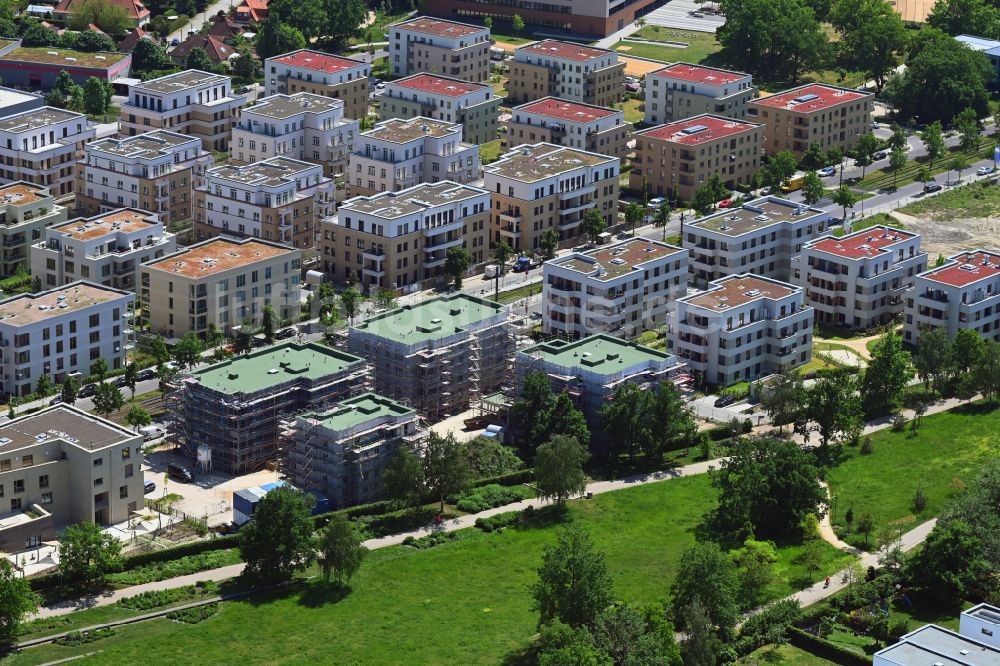 Luftaufnahme Potsdam - Baustelle Wohngebiet einer Mehrfamilienhaussiedlung im Ortsteil Bornstedt in Potsdam im Bundesland Brandenburg, Deutschland