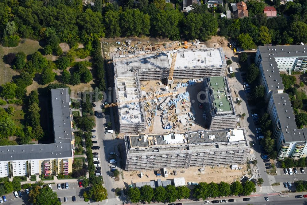 Berlin aus der Vogelperspektive: Baustelle Wohngebiet einer Mehrfamilienhaussiedlung Schwarzheider Straße - Luis-Lewin-Straße - Forster Straße im Ortsteil Hellersdorf in Berlin, Deutschland