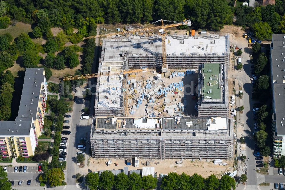 Berlin von oben - Baustelle Wohngebiet einer Mehrfamilienhaussiedlung Schwarzheider Straße - Luis-Lewin-Straße - Forster Straße im Ortsteil Hellersdorf in Berlin, Deutschland