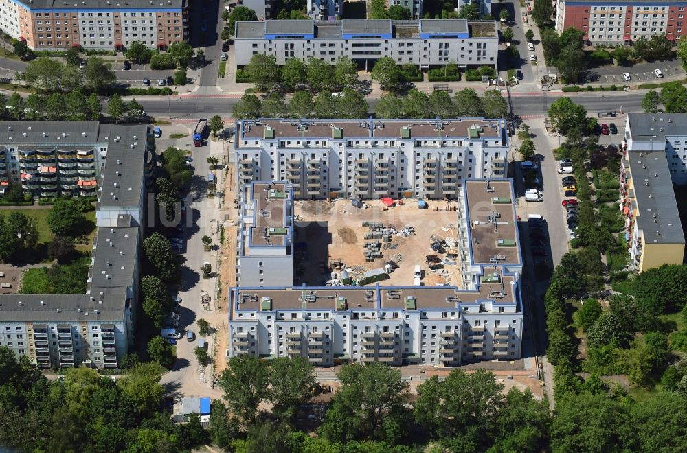 Berlin von oben - Baustelle Wohngebiet einer Mehrfamilienhaussiedlung Schwarzheider Straße - Luis-Lewin-Straße - Forster Straße im Ortsteil Hellersdorf in Berlin, Deutschland