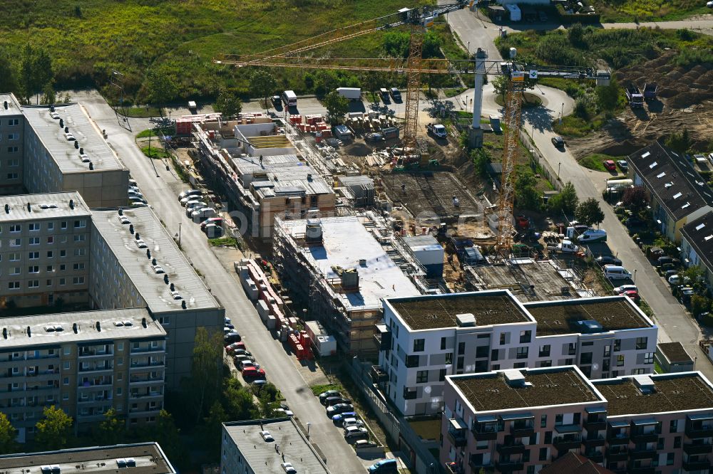 Luftaufnahme Bernau - Baustelle Wohngebiet einer Mehrfamilienhaussiedlung Am Venusbogen in Bernau im Bundesland Brandenburg, Deutschland