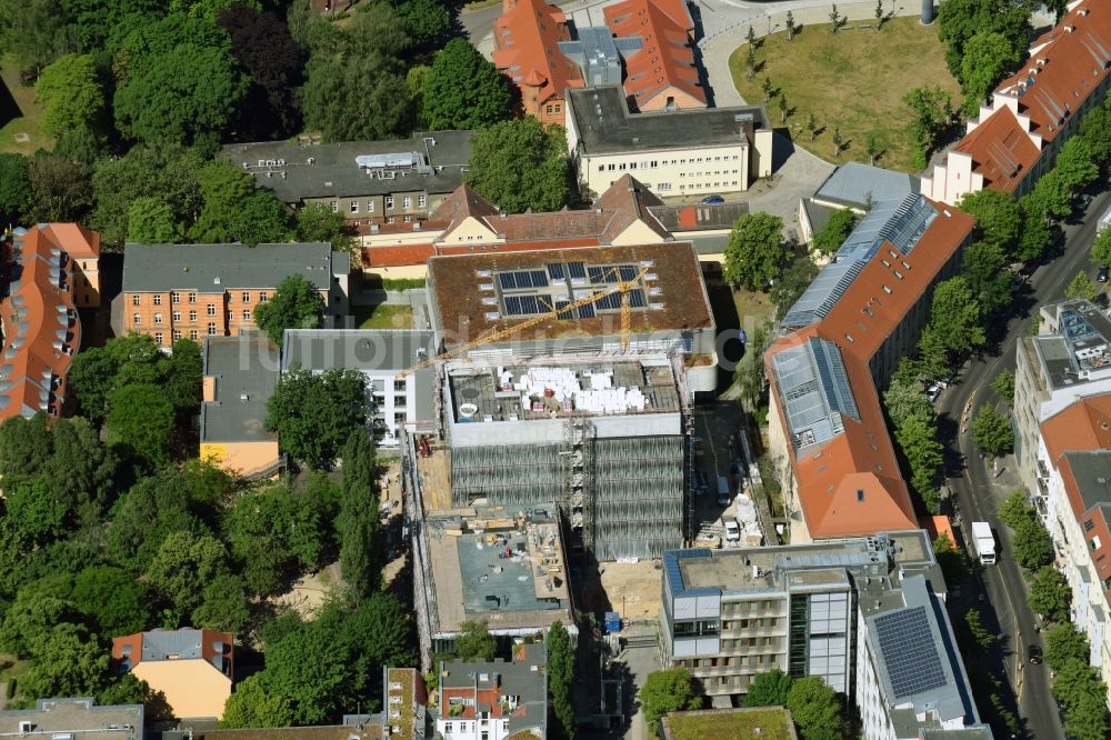 Berlin von oben - Baustelle zum Neubau des Berlin Institute for Medical Systems BIMSB an der Hannoverschen Straße im Bezirk Mitte in Berlin