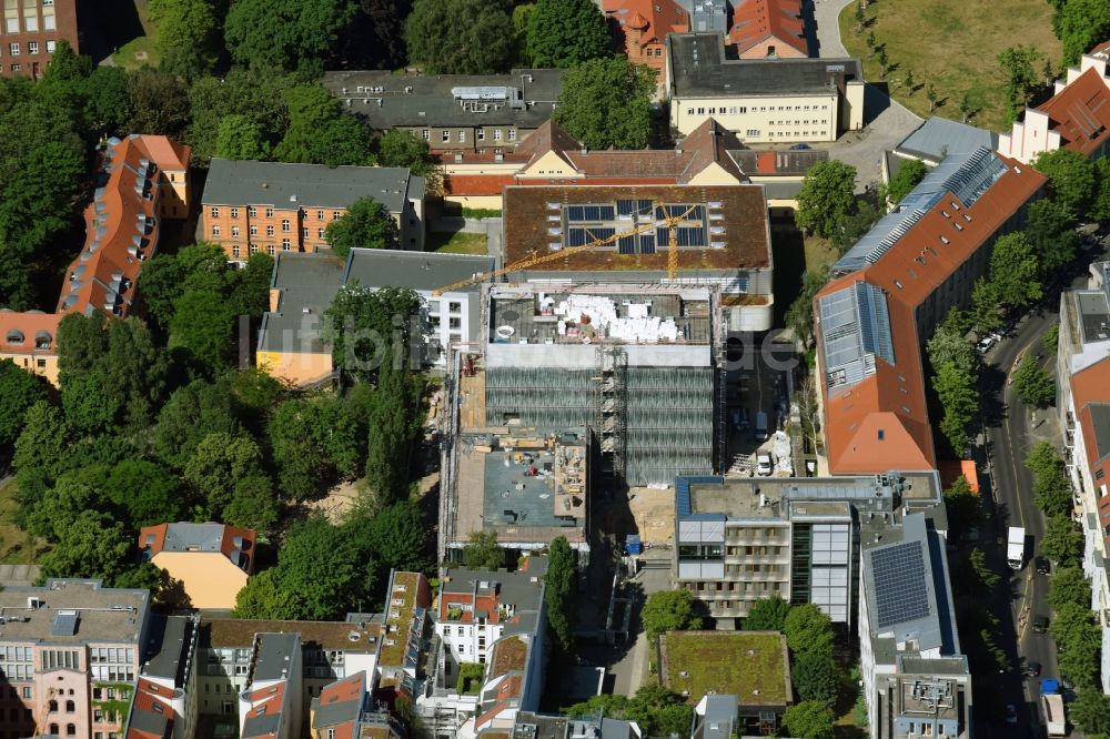 Berlin von oben - Baustelle zum Neubau des Berlin Institute for Medical Systems BIMSB an der Hannoverschen Straße im Bezirk Mitte in Berlin