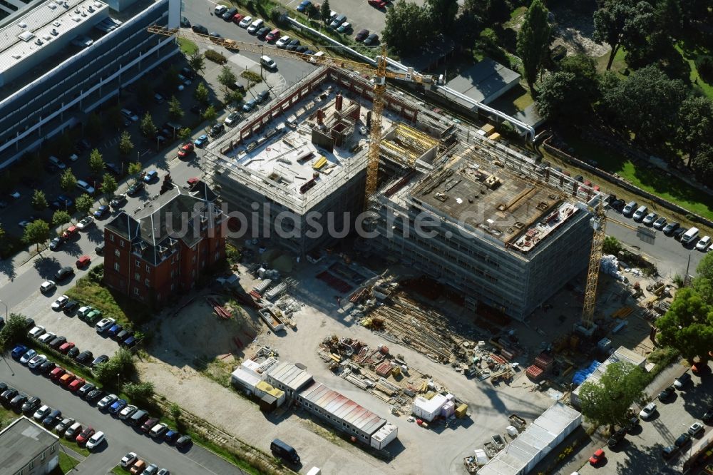 Dresden von oben - Baustelle zum Neubau des Biotech-Gründerzentrums in Dresden im Bundesland Sachsen