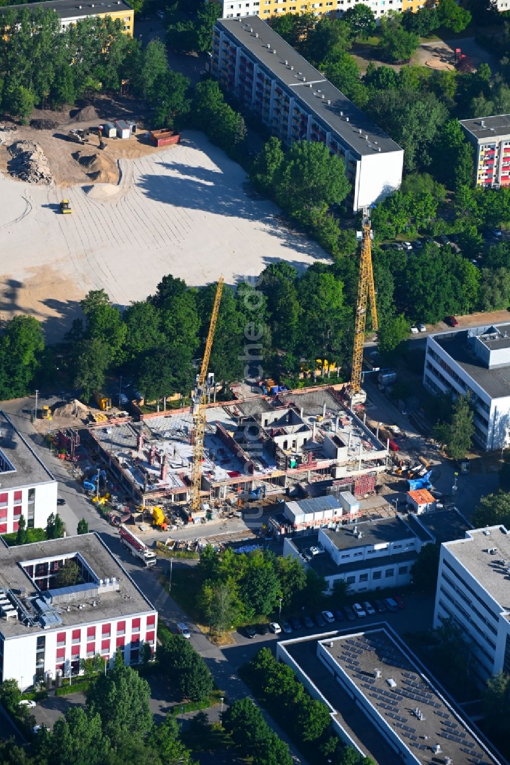 Berlin von oben - Baustelle zum Neubau eines Forschungs- Gebäudes und Bürokomplex im Biotech-Park in Berlin, Deutschland