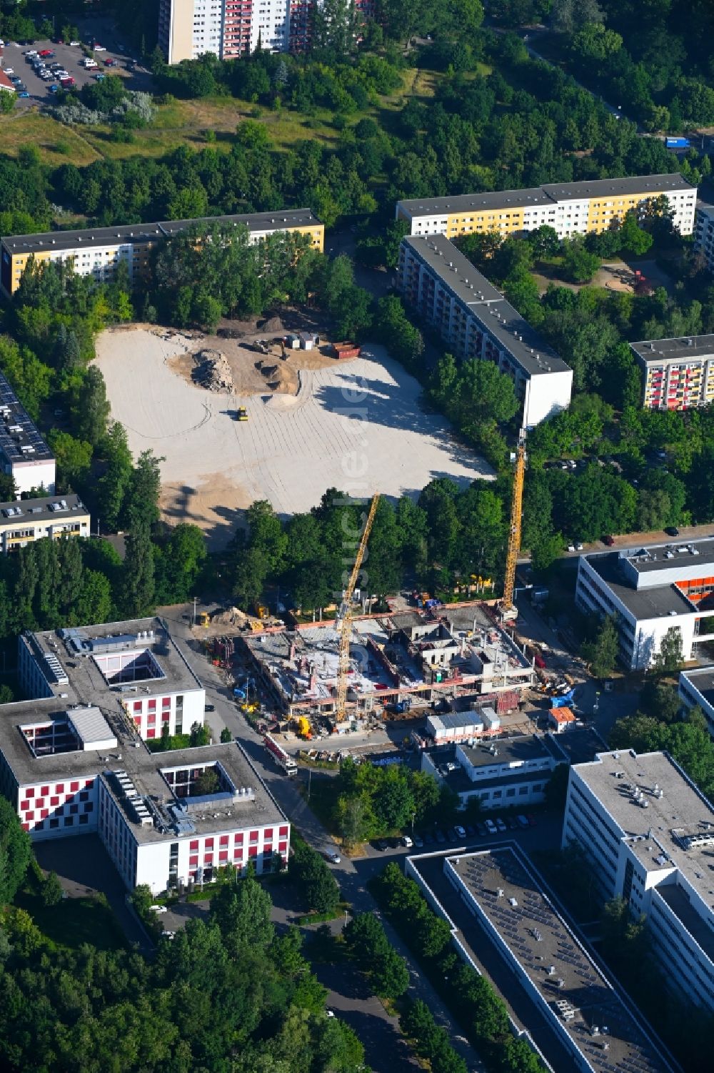 Berlin aus der Vogelperspektive: Baustelle zum Neubau eines Forschungs- Gebäudes und Bürokomplex im Biotech-Park in Berlin, Deutschland