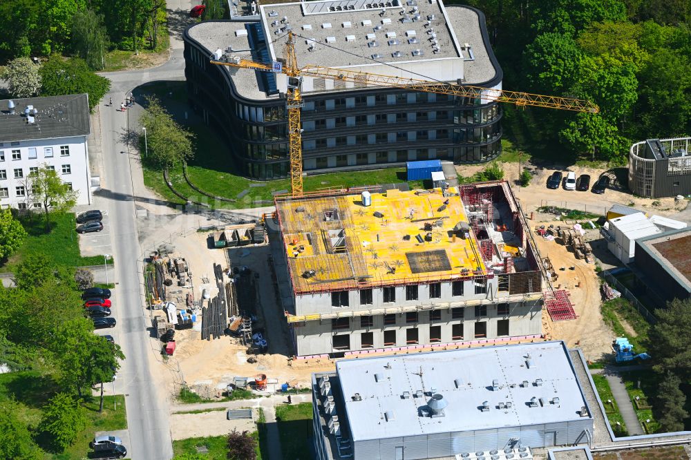 Luftbild Berlin - Baustelle zum Neubau eines Forschungs- Gebäudes und Bürokomplex des Max Delbrück Centers im Ortsteil Buch in Berlin, Deutschland