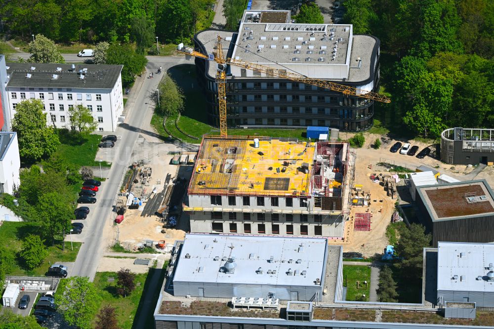 Luftaufnahme Berlin - Baustelle zum Neubau eines Forschungs- Gebäudes und Bürokomplex des Max Delbrück Centers im Ortsteil Buch in Berlin, Deutschland