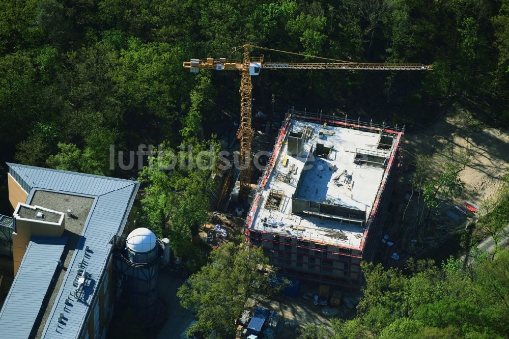 Potsdam von oben - Baustelle zum Neubau eines Forschungsgebäude auf dem Telegrafenberg in Potsdam im Bundesland Brandenburg, Deutschland