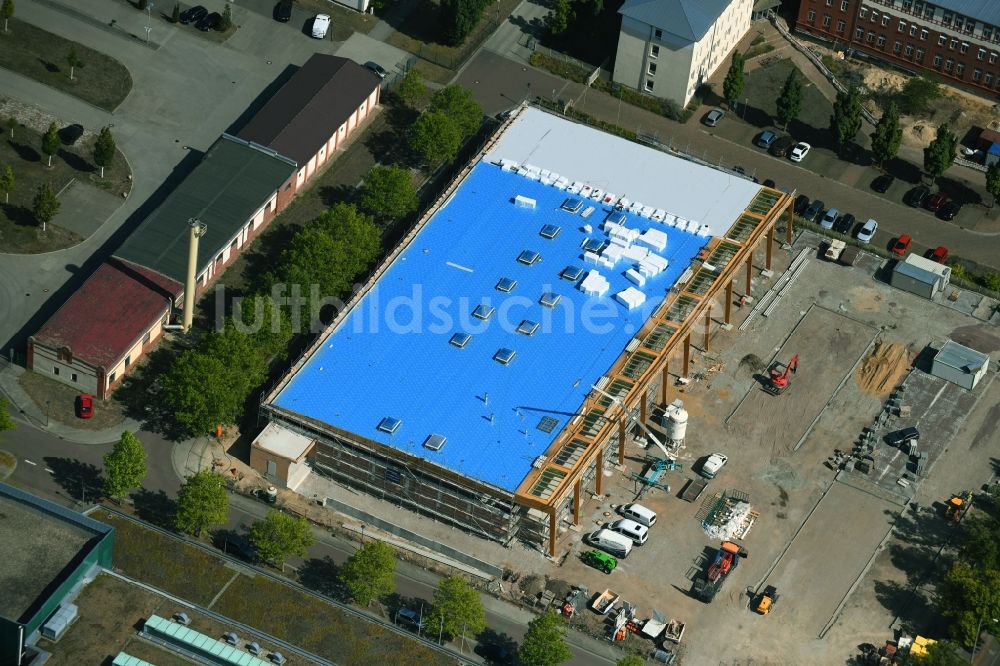 Luftbild Halle (Saale) - Baustelle zum Neubau des Gebäudekomplexes des Einkaufszentrum an der Frau-von-Selmnitz-Straße- Damaschkestraße in Halle (Saale) im Bundesland Sachsen-Anhalt, Deutschland