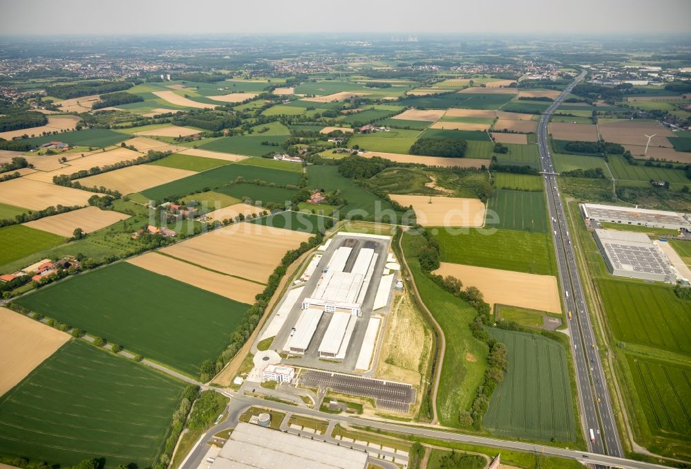 Hamm von oben - Baustelle zum Neubau eines Gebäudekomplexes auf dem Gelände des Logistikzentrums der DPD Deutschland GmbH in Hamm im Bundesland Nordrhein-Westfalen, Deutschland