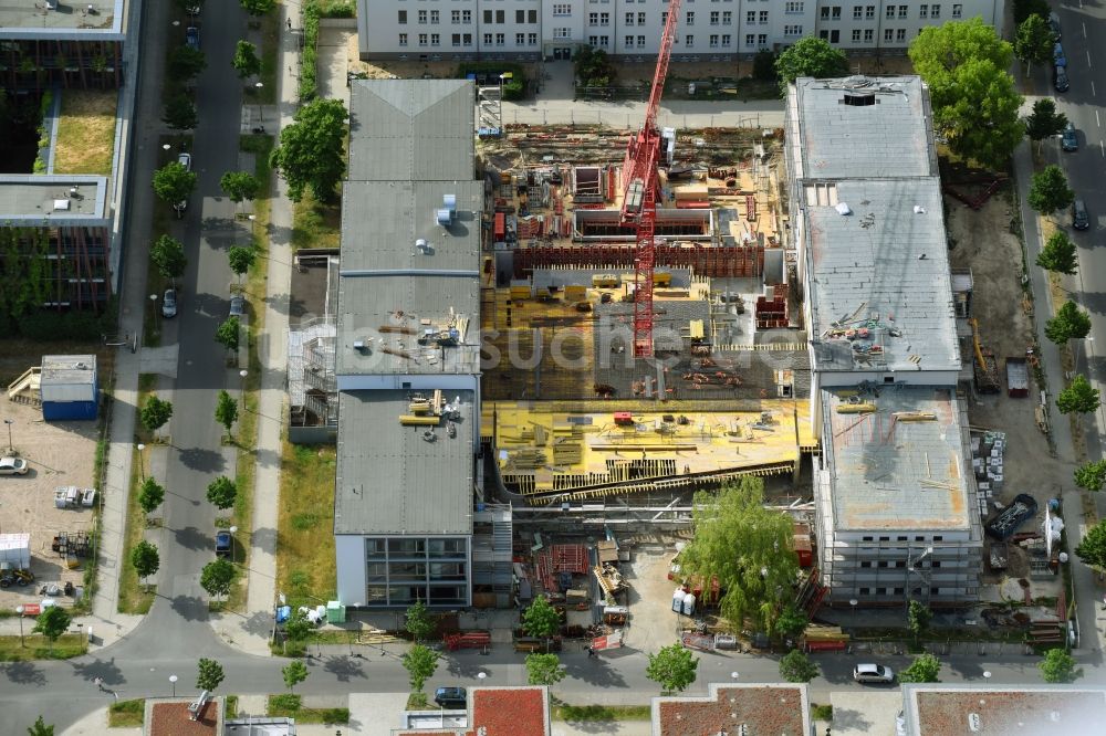 Berlin von oben - Baustelle zum Neubau IRIS Adlershof Zum Großen Windkanal im Ortsteil Adlershof in Berlin, Deutschland