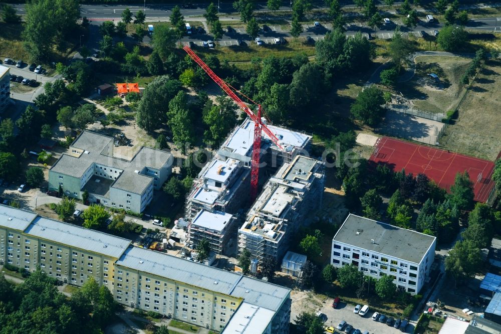 Luftbild Teltow - Baustelle zum Neubau einer Mehrfamilienhaus-Wohnanlage an der Albert-Wiebach-Straße in Teltow im Bundesland Brandenburg, Deutschland