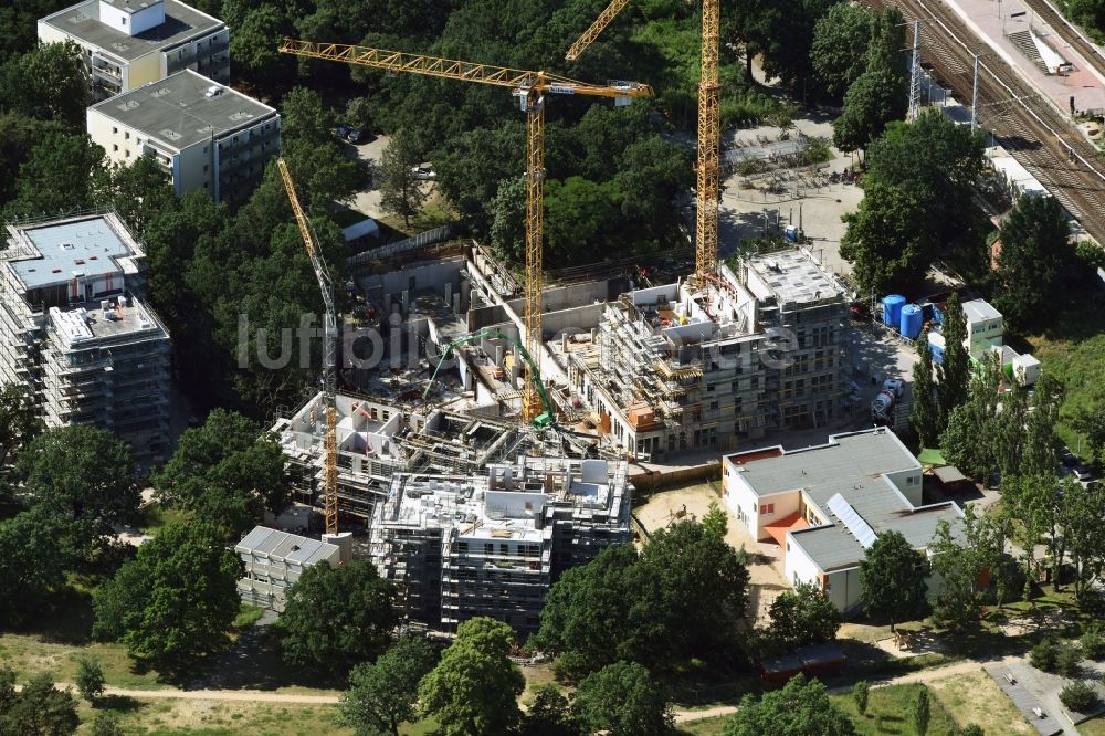 Berlin aus der Vogelperspektive: Baustelle zum Neubau einer Mehrfamilienhaus-Wohnanlage Am Carlsgarten der Helma Wohnungsbau GmbH nach Entwürfen von Blumers Architekten durch die Zechbau GmbH in Berlin