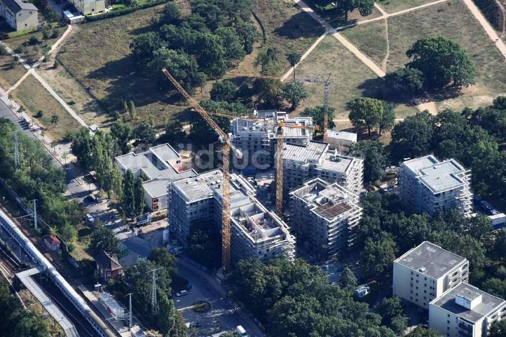 Berlin von oben - Baustelle zum Neubau einer Mehrfamilienhaus-Wohnanlage Am Carlsgarten der Helma Wohnungsbau GmbH nach Entwürfen von Blumers Architekten durch die Zechbau GmbH in Berlin