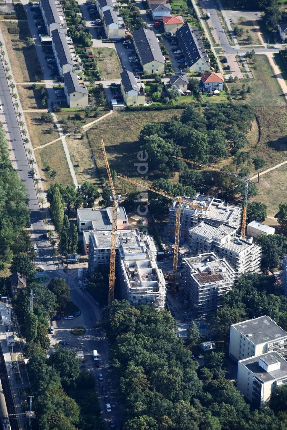 Luftbild Berlin - Baustelle zum Neubau einer Mehrfamilienhaus-Wohnanlage Am Carlsgarten der Helma Wohnungsbau GmbH nach Entwürfen von Blumers Architekten durch die Zechbau GmbH in Berlin