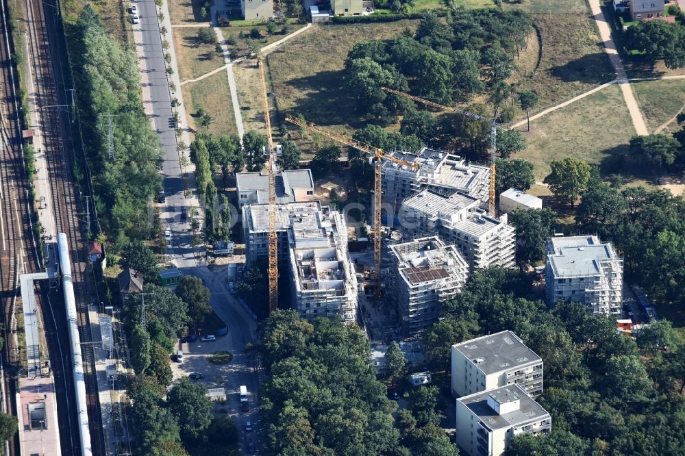 Luftaufnahme Berlin - Baustelle zum Neubau einer Mehrfamilienhaus-Wohnanlage Am Carlsgarten der Helma Wohnungsbau GmbH nach Entwürfen von Blumers Architekten durch die Zechbau GmbH in Berlin