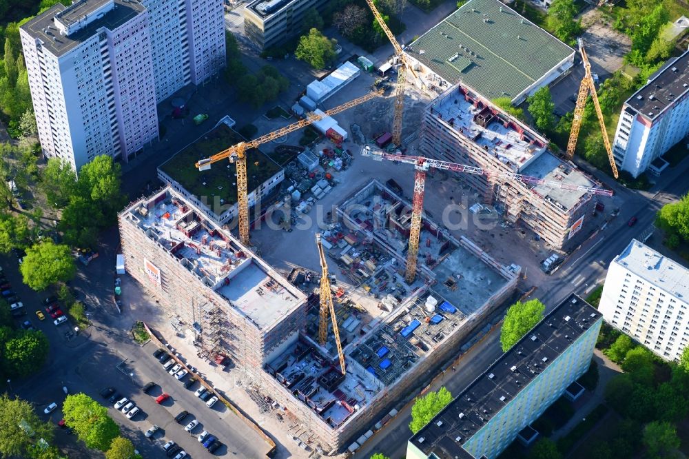 Berlin aus der Vogelperspektive: Baustelle zum Neubau einer Mehrfamilienhaus-Wohnanlage Dolgensee-Center Lichtenberg in Berlin, Deutschland