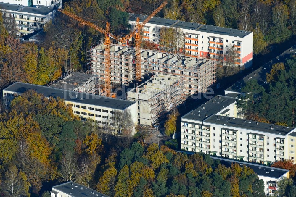 Potsdam von oben - Baustelle zum Neubau einer Mehrfamilienhaus-Wohnanlage durch die Märkische Bau Union GmbH + Co KG im Ortsteil Waldstadt in Potsdam im Bundesland Brandenburg, Deutschland