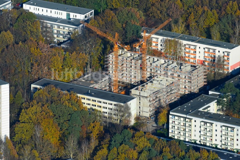 Potsdam aus der Vogelperspektive: Baustelle zum Neubau einer Mehrfamilienhaus-Wohnanlage durch die Märkische Bau Union GmbH + Co KG im Ortsteil Waldstadt in Potsdam im Bundesland Brandenburg, Deutschland