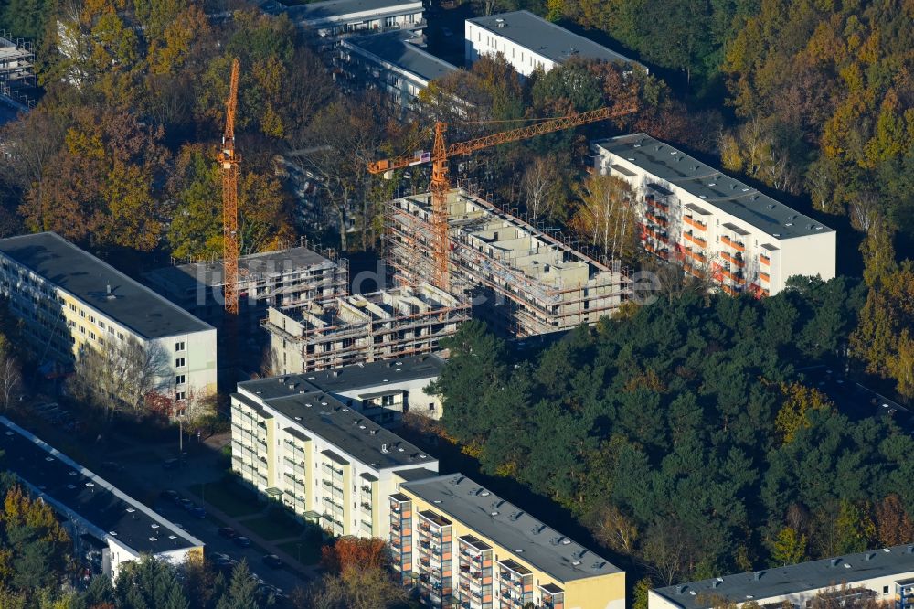 Luftbild Potsdam - Baustelle zum Neubau einer Mehrfamilienhaus-Wohnanlage durch die Märkische Bau Union GmbH + Co KG im Ortsteil Waldstadt in Potsdam im Bundesland Brandenburg, Deutschland