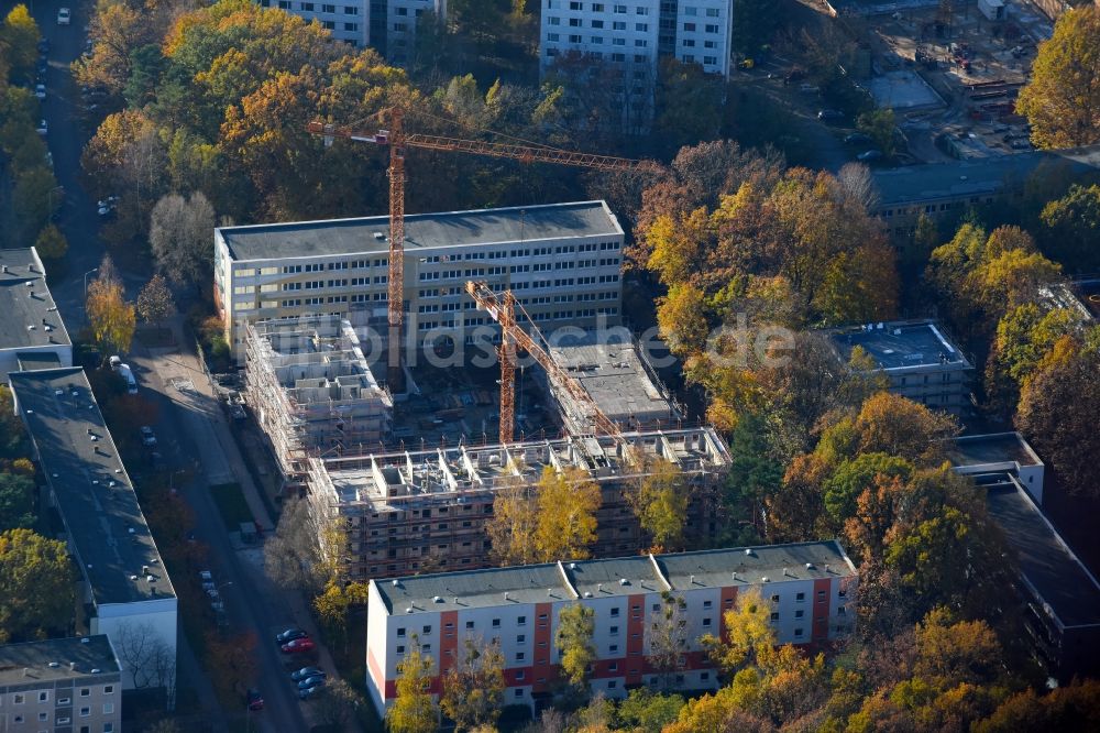 Potsdam von oben - Baustelle zum Neubau einer Mehrfamilienhaus-Wohnanlage durch die Märkische Bau Union GmbH + Co KG im Ortsteil Waldstadt in Potsdam im Bundesland Brandenburg, Deutschland