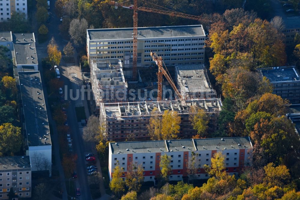 Potsdam aus der Vogelperspektive: Baustelle zum Neubau einer Mehrfamilienhaus-Wohnanlage durch die Märkische Bau Union GmbH + Co KG im Ortsteil Waldstadt in Potsdam im Bundesland Brandenburg, Deutschland