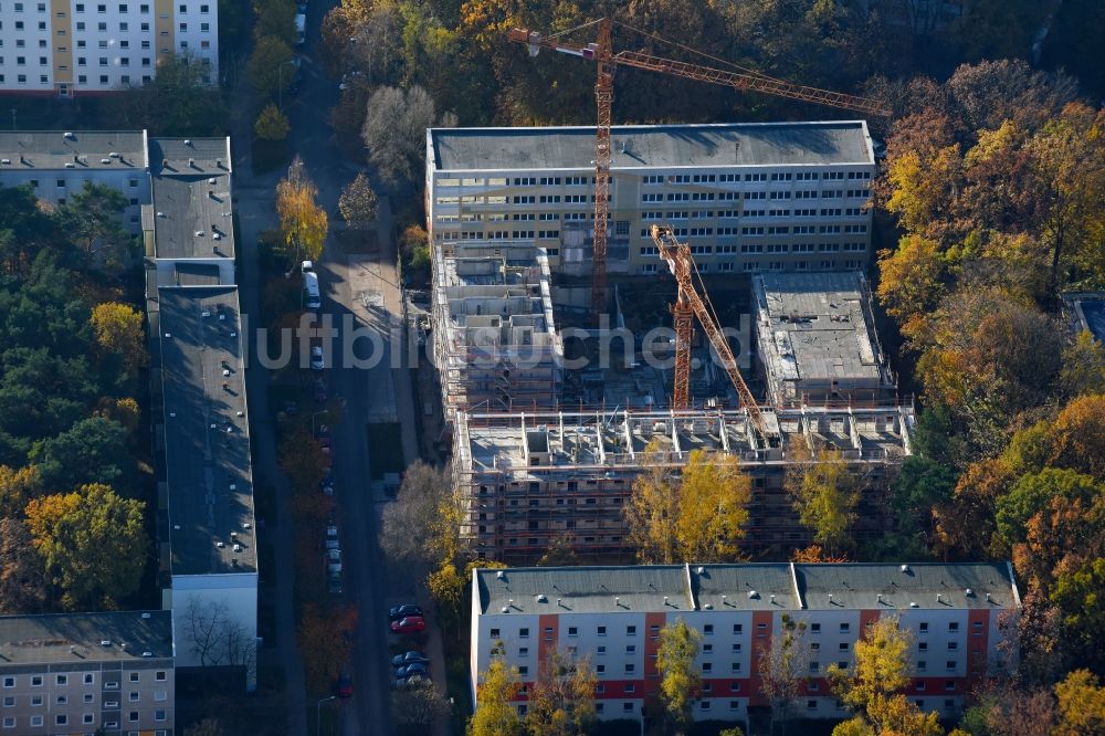 Luftbild Potsdam - Baustelle zum Neubau einer Mehrfamilienhaus-Wohnanlage durch die Märkische Bau Union GmbH + Co KG im Ortsteil Waldstadt in Potsdam im Bundesland Brandenburg, Deutschland