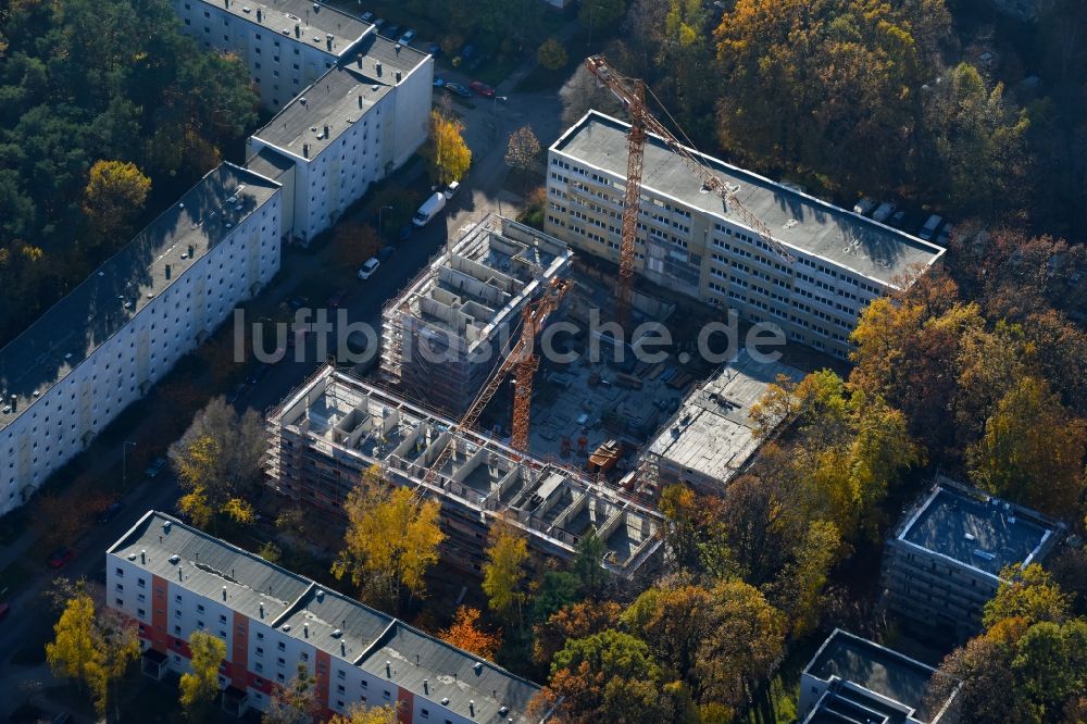 Luftaufnahme Potsdam - Baustelle zum Neubau einer Mehrfamilienhaus-Wohnanlage durch die Märkische Bau Union GmbH + Co KG im Ortsteil Waldstadt in Potsdam im Bundesland Brandenburg, Deutschland