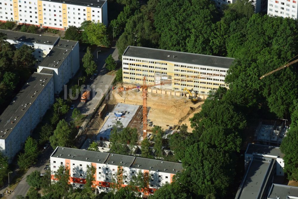 Potsdam von oben - Baustelle zum Neubau einer Mehrfamilienhaus-Wohnanlage durch die Märkische Bau Union GmbH + Co KG im Ortsteil Waldstadt in Potsdam im Bundesland Brandenburg, Deutschland