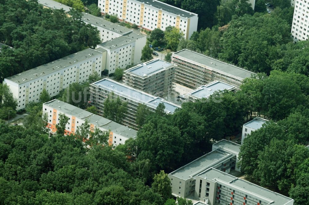 Potsdam von oben - Baustelle zum Neubau einer Mehrfamilienhaus-Wohnanlage durch die Märkische Bau Union GmbH + Co KG im Ortsteil Waldstadt in Potsdam im Bundesland Brandenburg, Deutschland