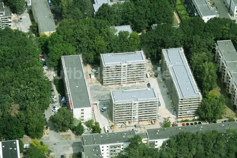 Potsdam von oben - Baustelle zum Neubau einer Mehrfamilienhaus-Wohnanlage durch die Märkische Bau Union GmbH + Co KG im Ortsteil Waldstadt in Potsdam im Bundesland Brandenburg, Deutschland