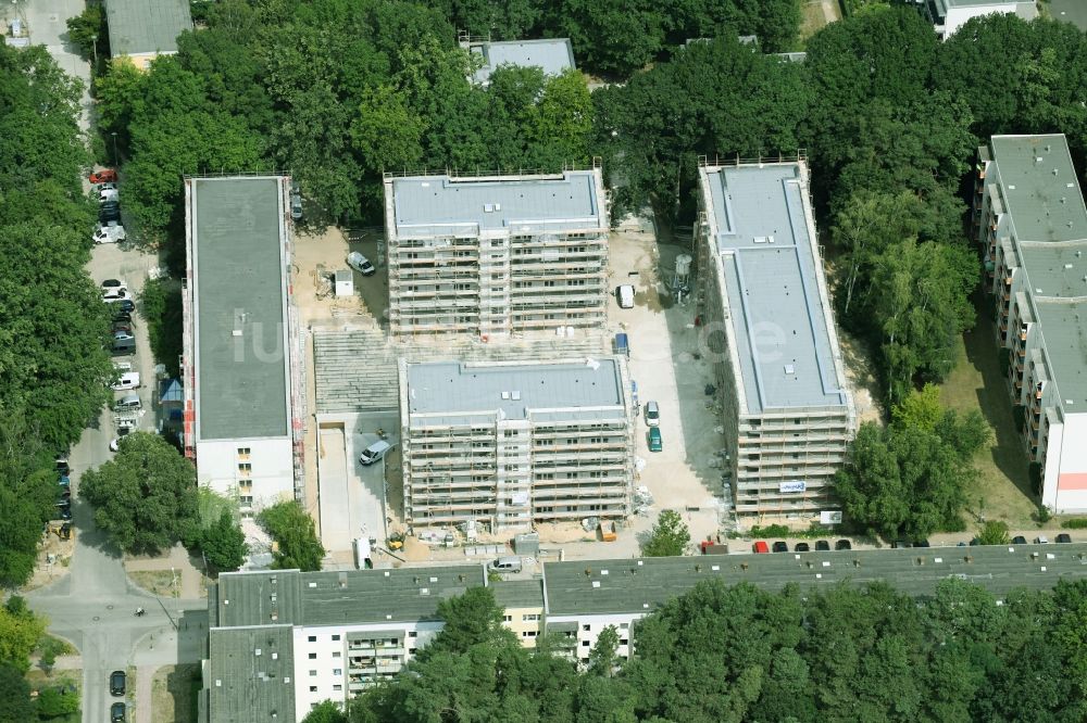 Potsdam aus der Vogelperspektive: Baustelle zum Neubau einer Mehrfamilienhaus-Wohnanlage durch die Märkische Bau Union GmbH + Co KG im Ortsteil Waldstadt in Potsdam im Bundesland Brandenburg, Deutschland