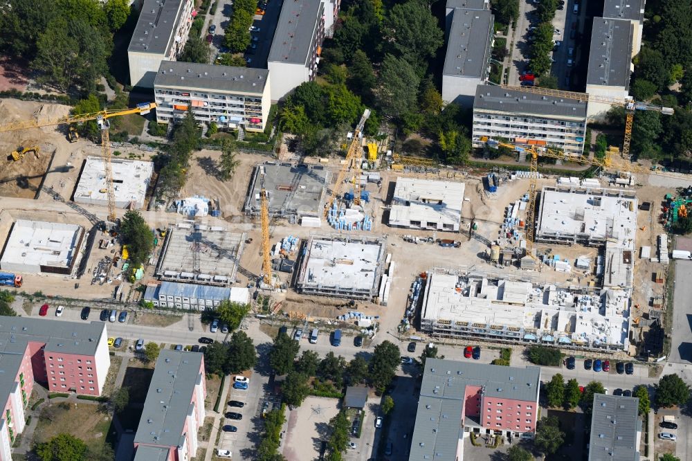 Berlin von oben - Baustelle zum Neubau einer Mehrfamilienhaus-Wohnanlage entlang der Tangermünder Straße im Ortsteil Hellersdorf in Berlin, Deutschland