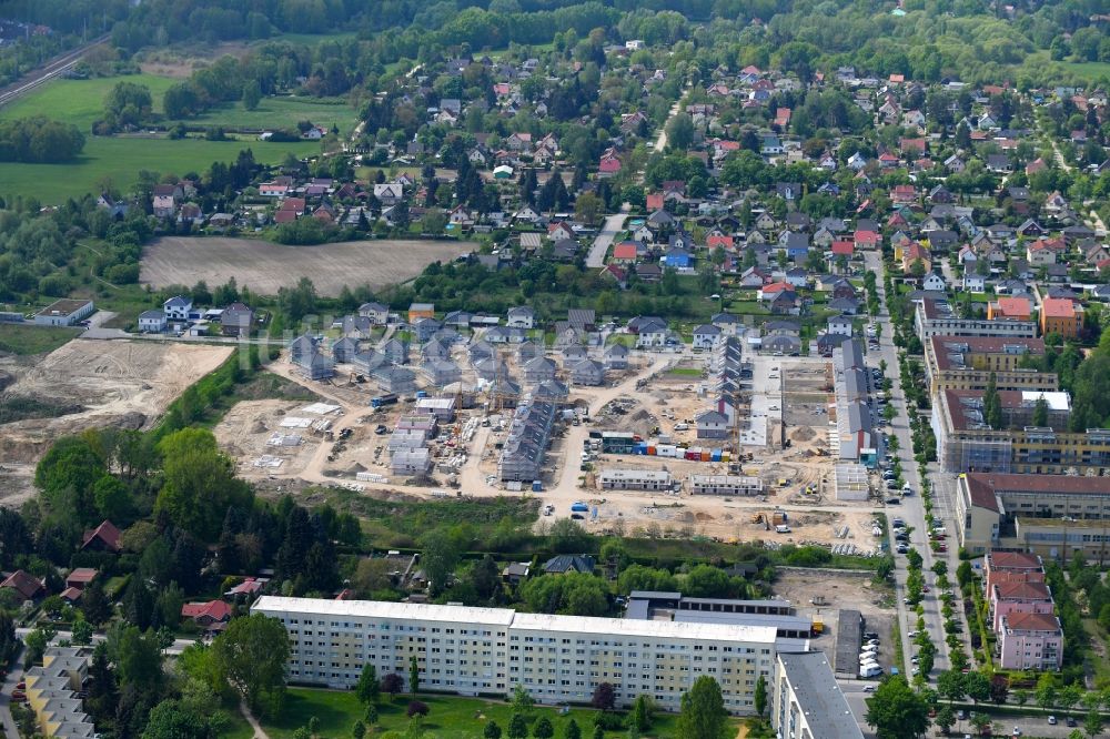 Luftaufnahme Bernau - Baustelle zum Neubau einer Mehrfamilienhaus-Wohnanlage Friedenstaler Gärten an der Spreeallee - Havelstraße im Ortsteil Friedenstal in Bernau im Bundesland Brandenburg, Deutschland