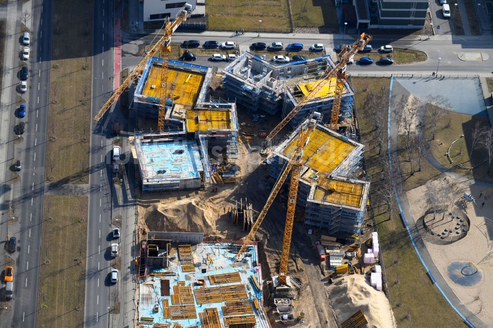 Berlin von oben - Baustelle zum Neubau einer Mehrfamilienhaus-Wohnanlage „ Future Living Homes “ im Ortsteil Adlershof - Johannestal in Berlin, Deutschland