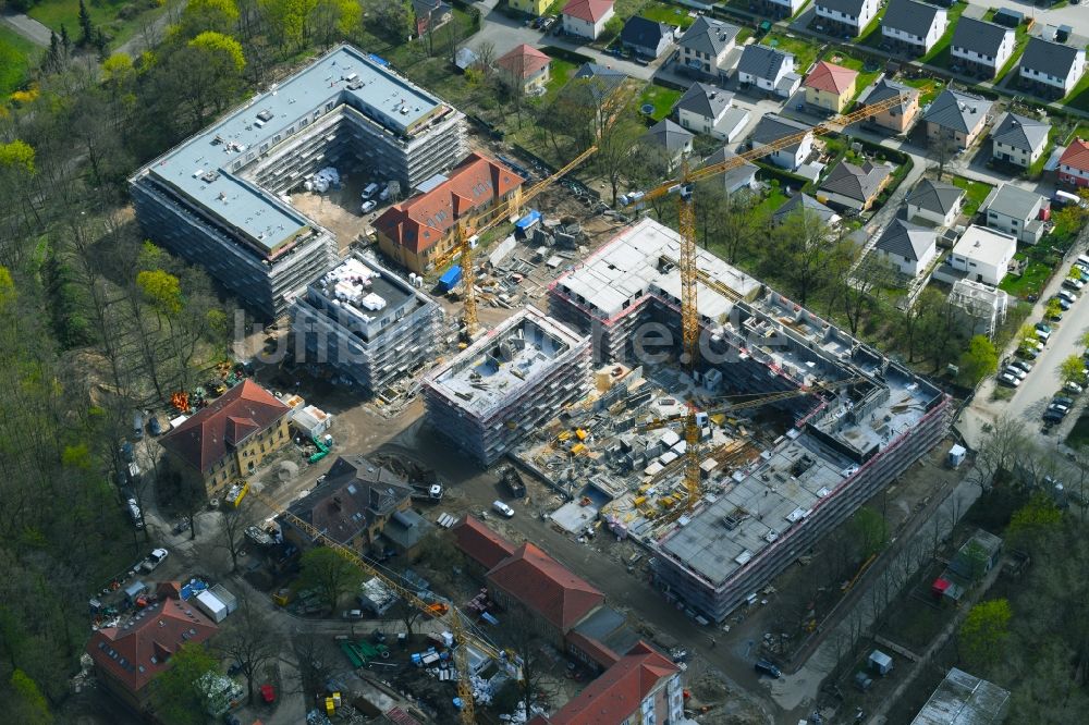 Berlin aus der Vogelperspektive: Baustelle zum Neubau einer Mehrfamilienhaus-Wohnanlage auf dem Gelände der ehemaligen Kinderklinik Lindenhof an der Gotlindestraße im Ortsteil Lichtenberg in Berlin, Deutschland