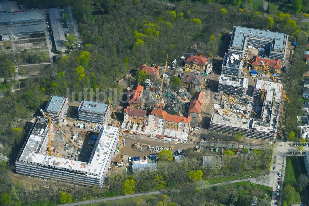 Luftaufnahme Berlin - Baustelle zum Neubau einer Mehrfamilienhaus-Wohnanlage auf dem Gelände der ehemaligen Kinderklinik Lindenhof an der Gotlindestraße im Ortsteil Lichtenberg in Berlin, Deutschland