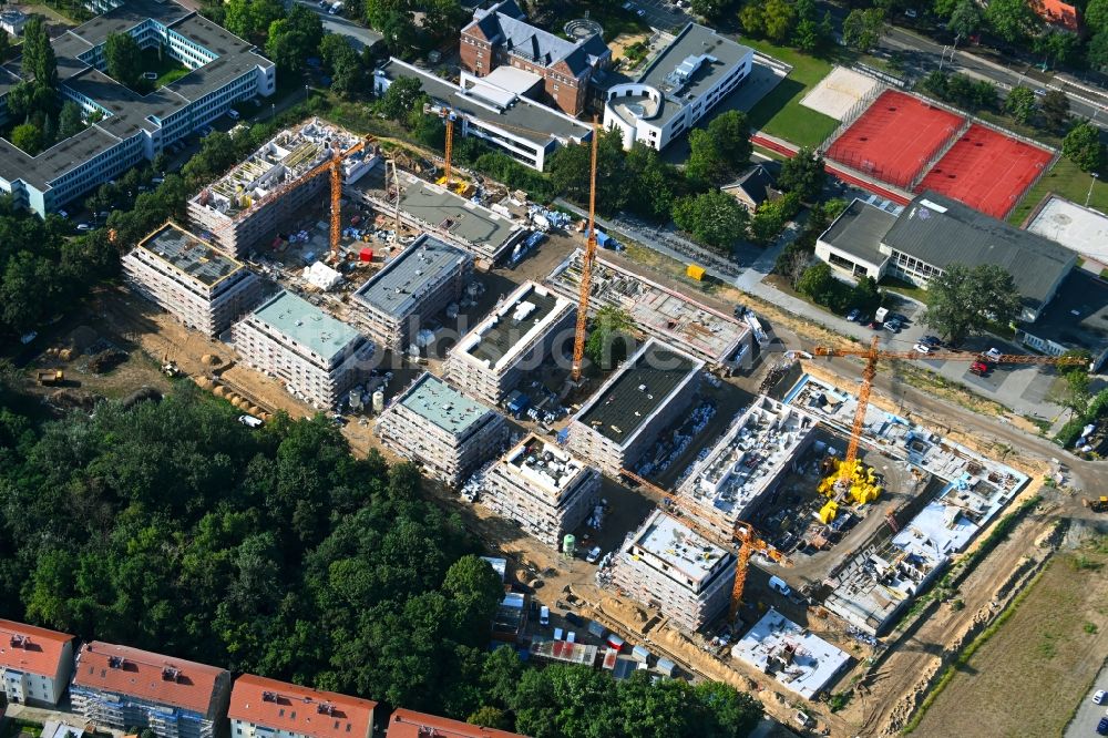 Luftbild Potsdam - Baustelle zum Neubau einer Mehrfamilienhaus-Wohnanlage Heinrich-Mann-Allee - Kolonie Daheim in Potsdam im Bundesland Brandenburg, Deutschland