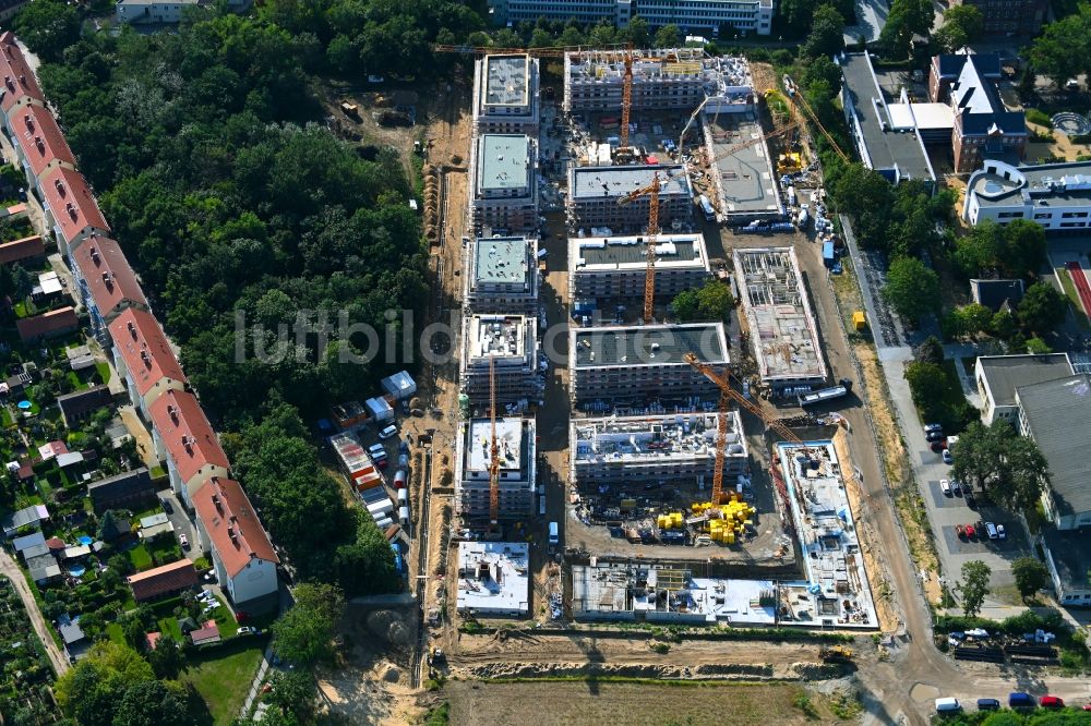 Luftaufnahme Potsdam - Baustelle zum Neubau einer Mehrfamilienhaus-Wohnanlage Heinrich-Mann-Allee - Kolonie Daheim in Potsdam im Bundesland Brandenburg, Deutschland