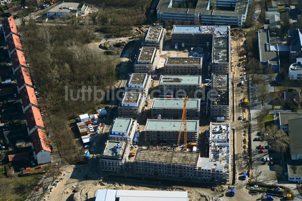 Luftbild Potsdam - Baustelle zum Neubau einer Mehrfamilienhaus-Wohnanlage Heinrich-Mann-Allee - Kolonie Daheim in Potsdam im Bundesland Brandenburg, Deutschland