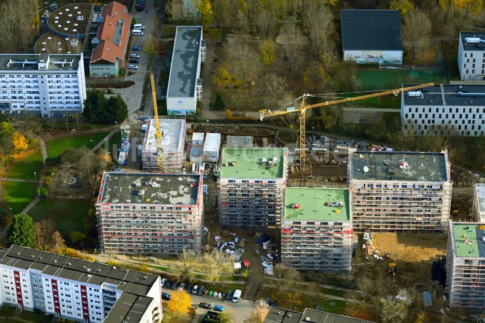 Berlin aus der Vogelperspektive: Baustelle zum Neubau einer Mehrfamilienhaus-Wohnanlage an der Karl-Holtz-Straße im Ortsteil Marzahn in Berlin, Deutschland