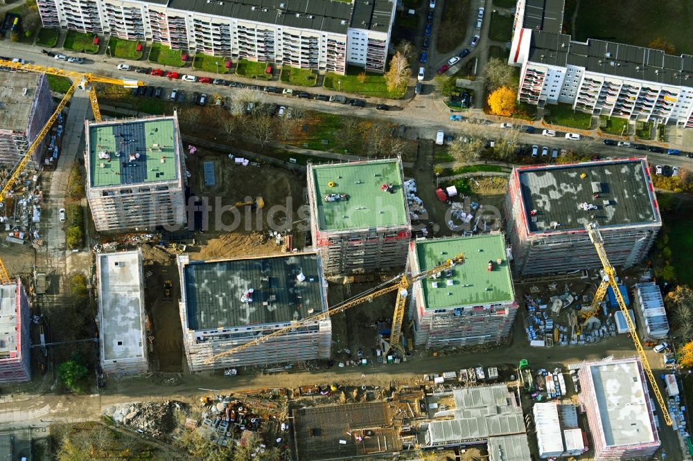 Berlin von oben - Baustelle zum Neubau einer Mehrfamilienhaus-Wohnanlage an der Karl-Holtz-Straße im Ortsteil Marzahn in Berlin, Deutschland