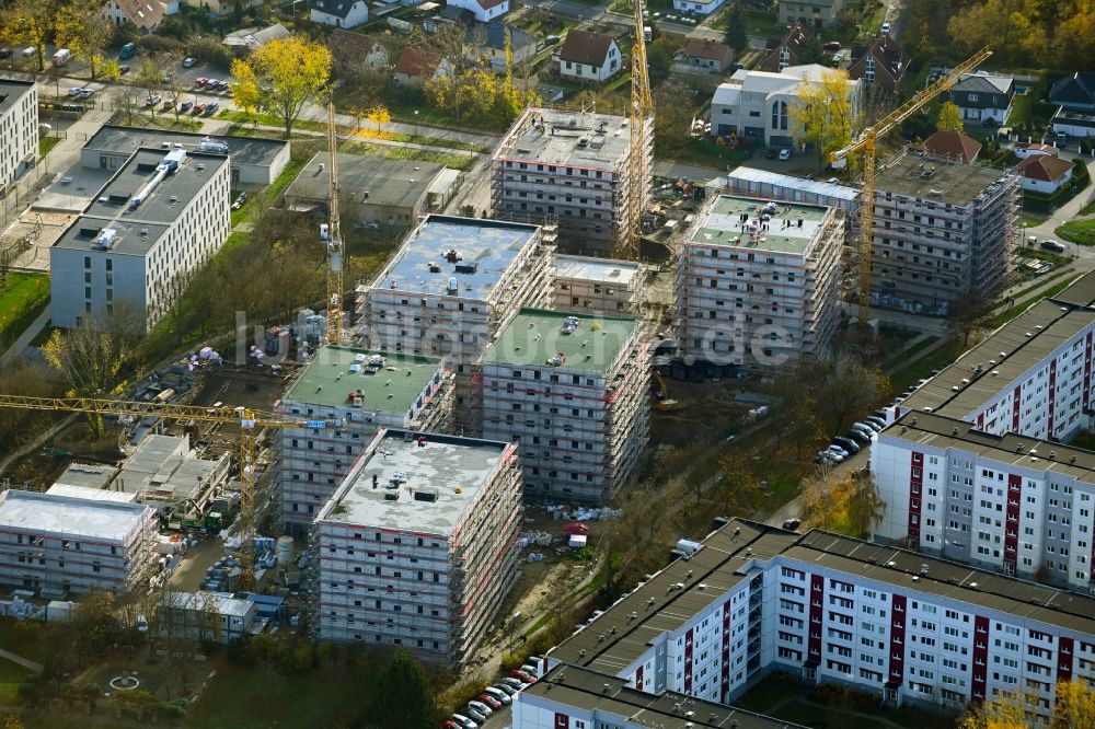 Berlin aus der Vogelperspektive: Baustelle zum Neubau einer Mehrfamilienhaus-Wohnanlage an der Karl-Holtz-Straße im Ortsteil Marzahn in Berlin, Deutschland