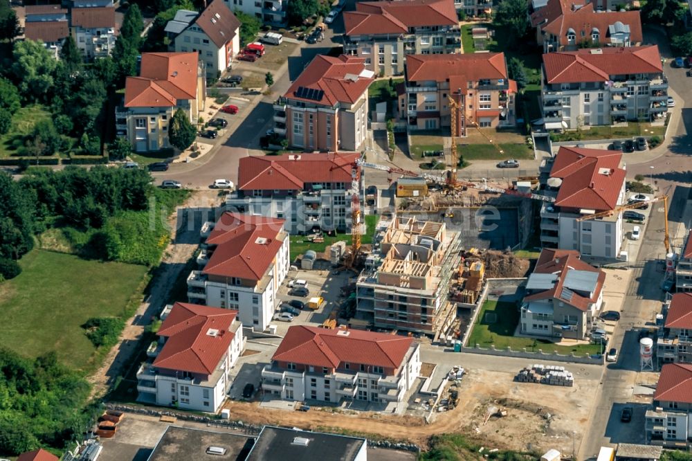 Ettenheim aus der Vogelperspektive: Baustelle zum Neubau einer Mehrfamilienhaus-Wohnanlage Kreuzerweg in Ettenheim im Bundesland Baden-Württemberg, Deutschland