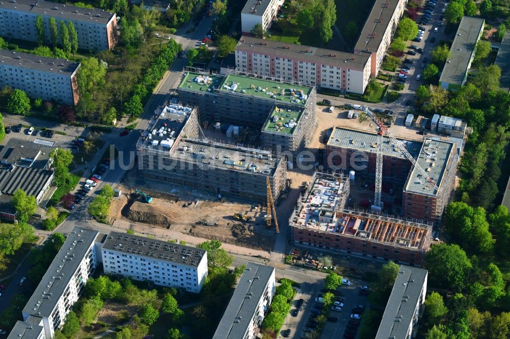 Berlin von oben - Baustelle zum Neubau einer Mehrfamilienhaus-Wohnanlage Lion-Feuchtwanger-Straße - Gadebuscher Straße im Ortsteil Hellersdorf in Berlin, Deutschland